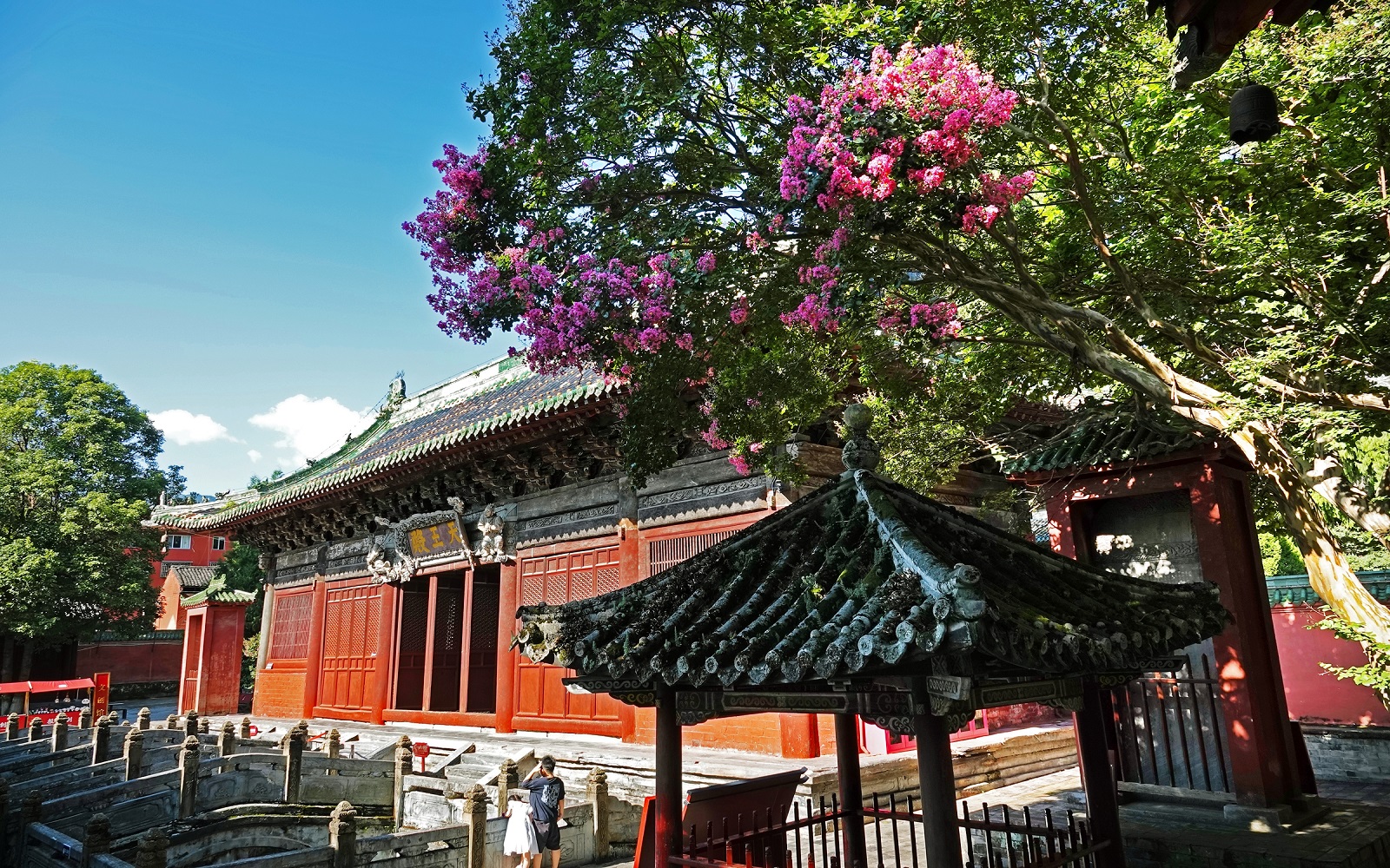 微信图片_20260819154335_232_321.jpg