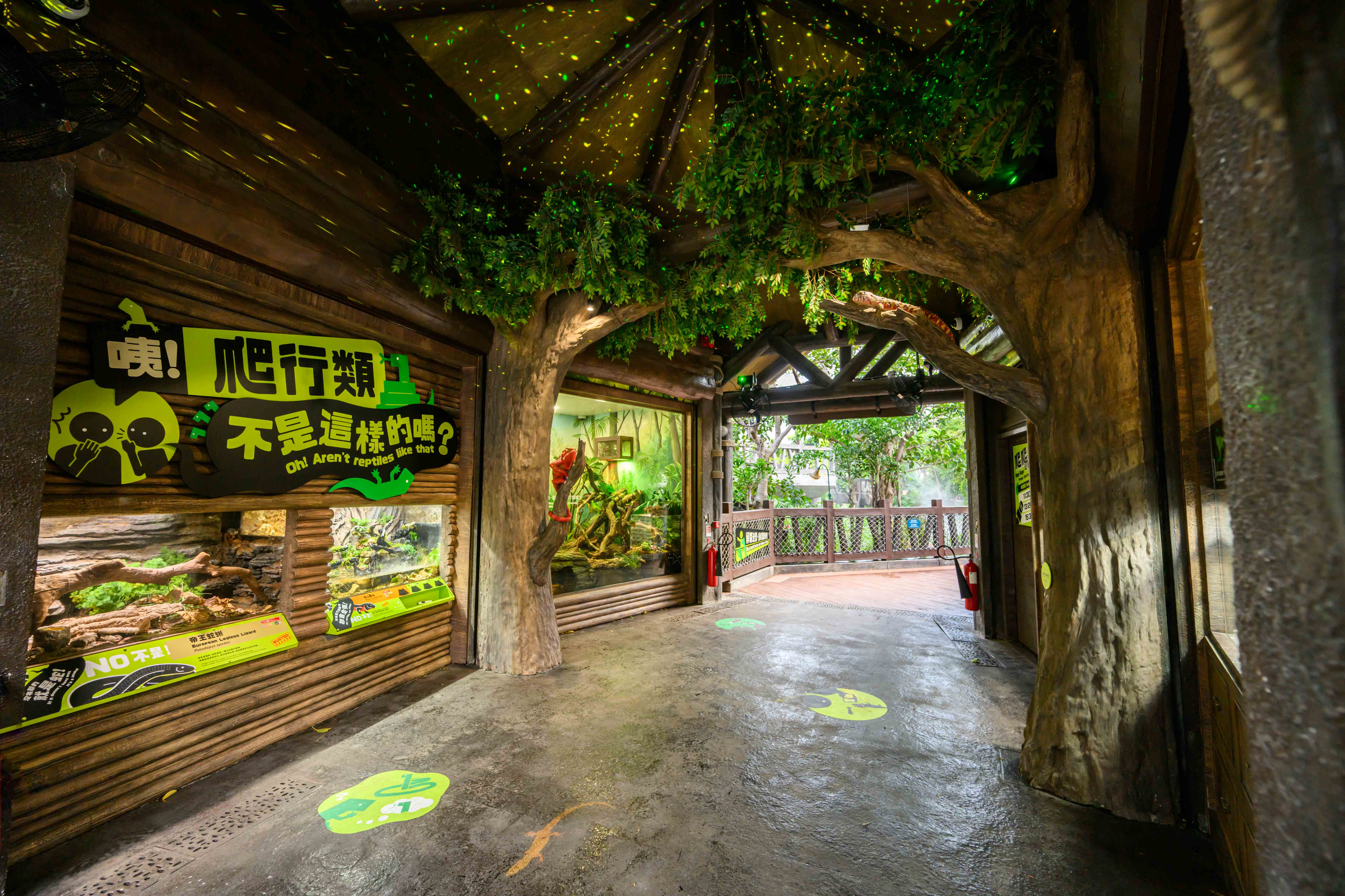Ocean Park_Reptile Territory_interior_01.jpg