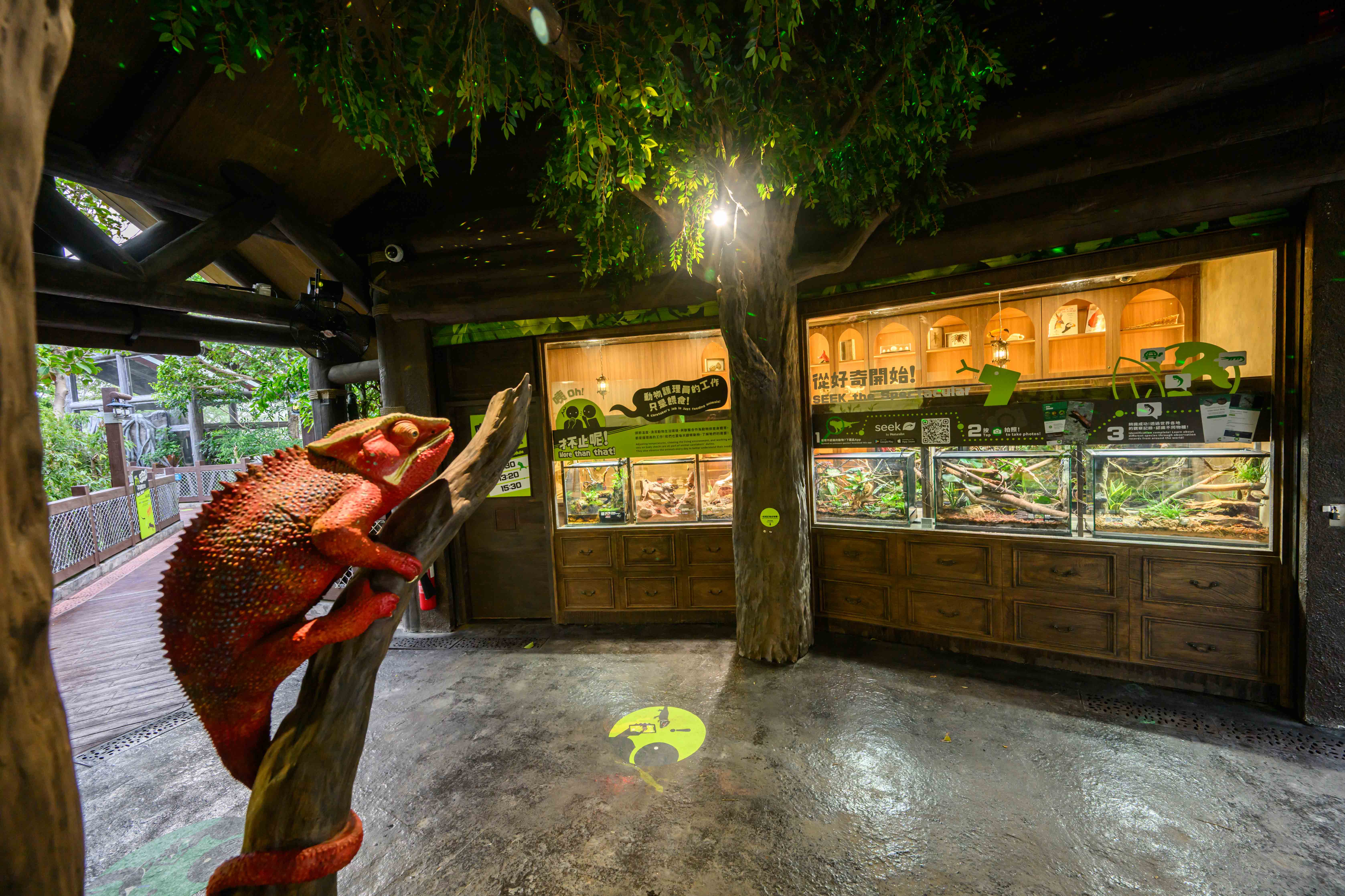 Ocean Park_Reptile Territory_interior_02.jpg