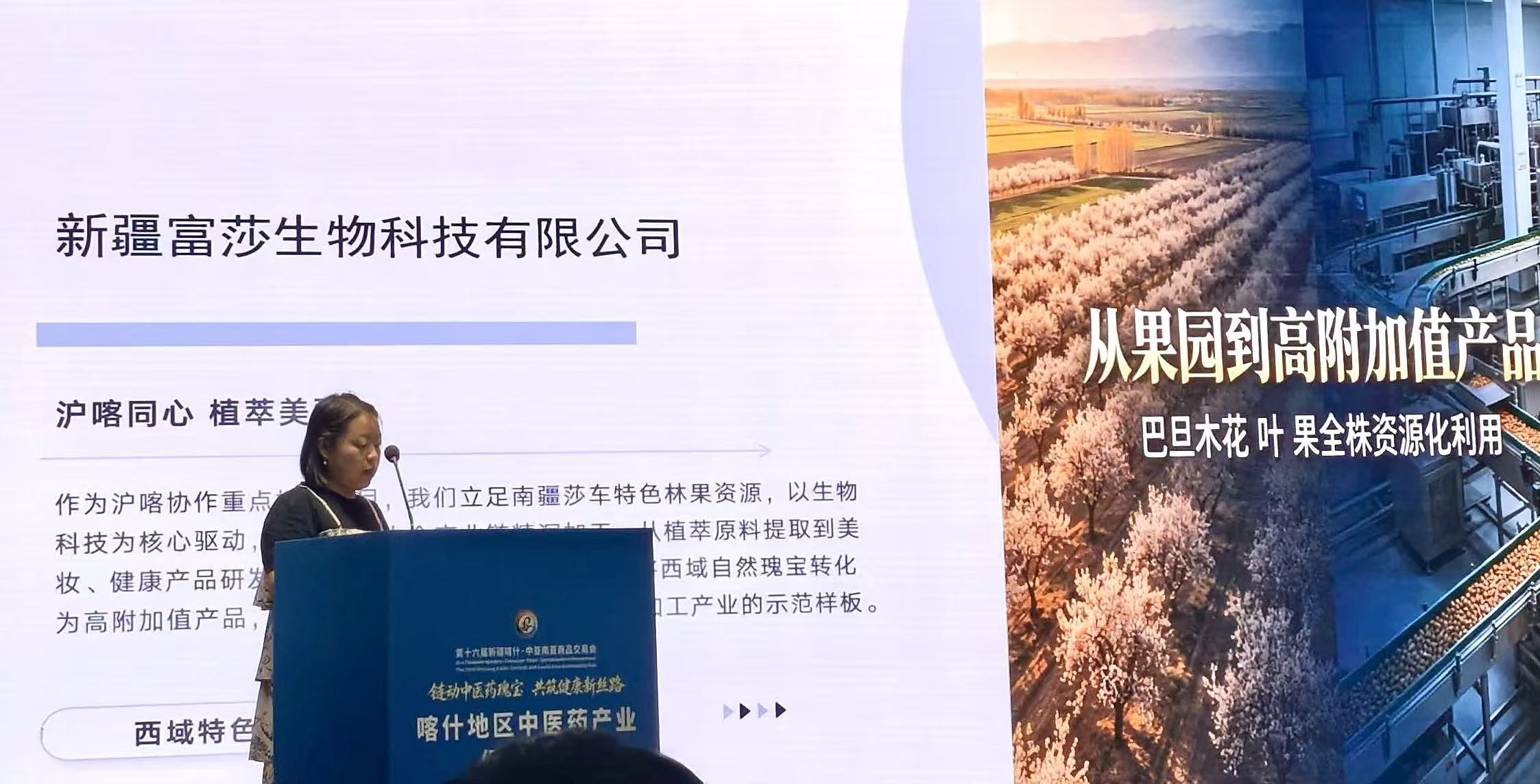 药6.jpg