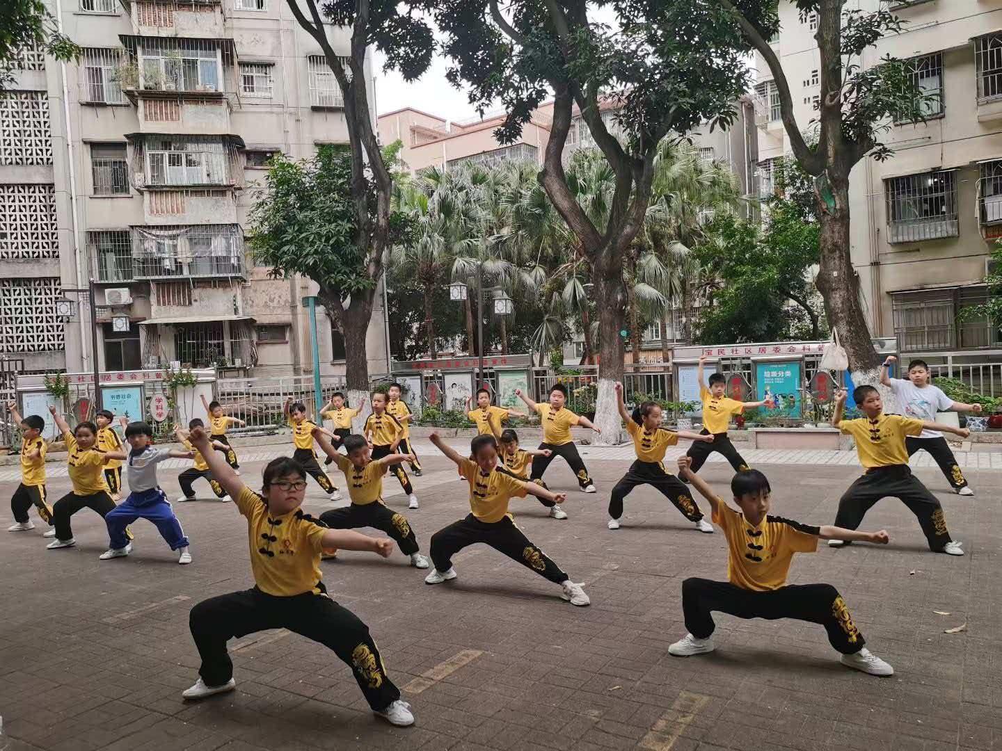 梅花拳.jpeg