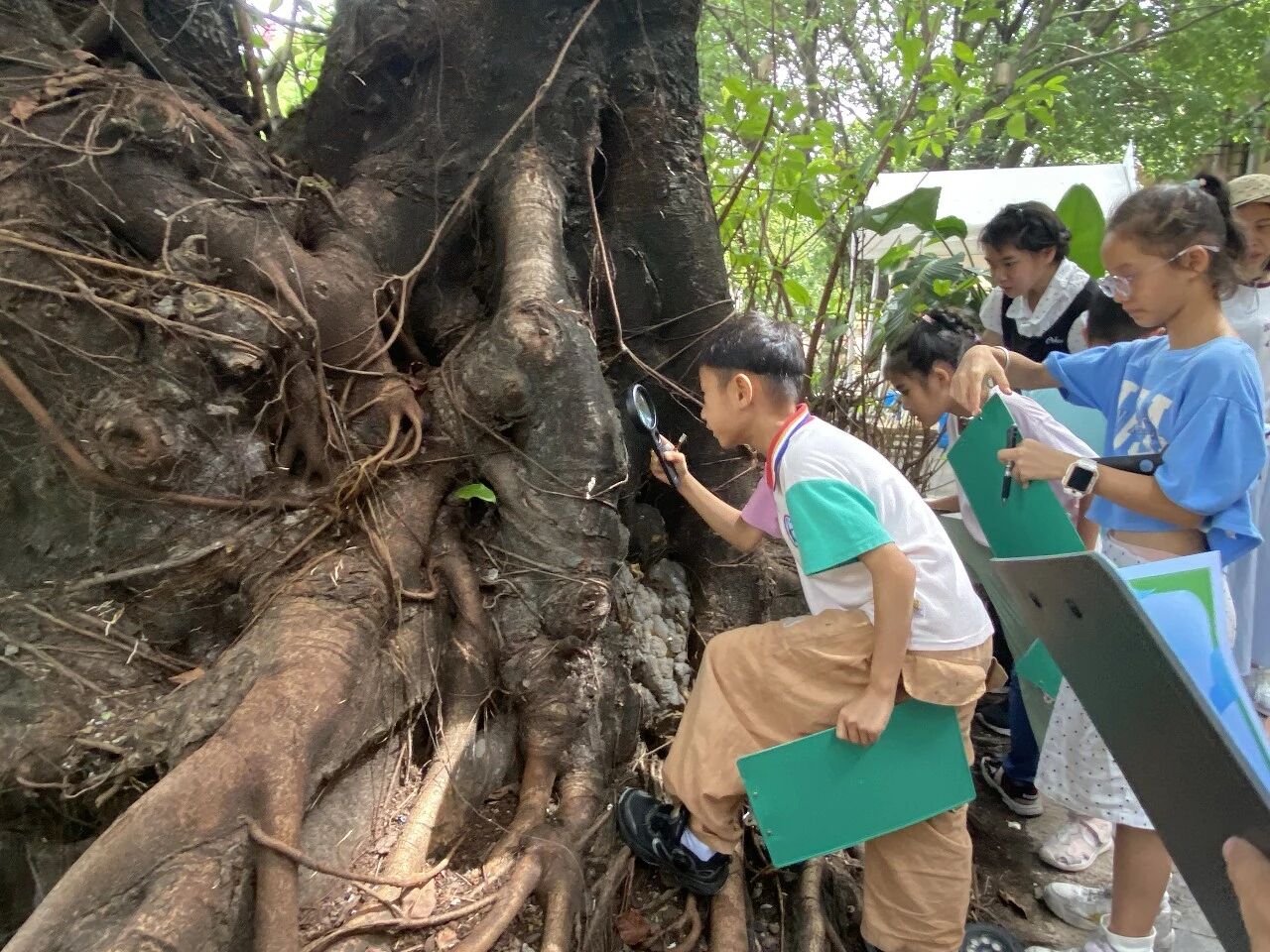 微信图片_2026-08-29_194946_898.jpg