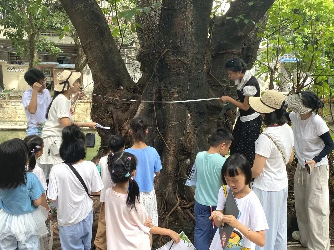 微信图片_2026-08-29_195001_743.jpg