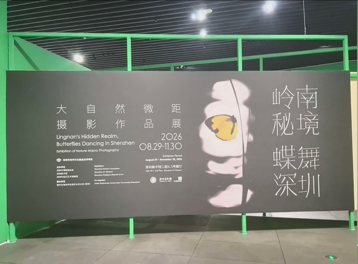 圖片.png