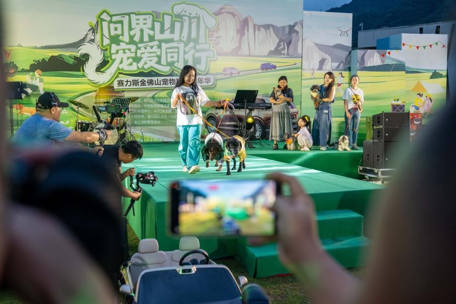 图片12.jpg