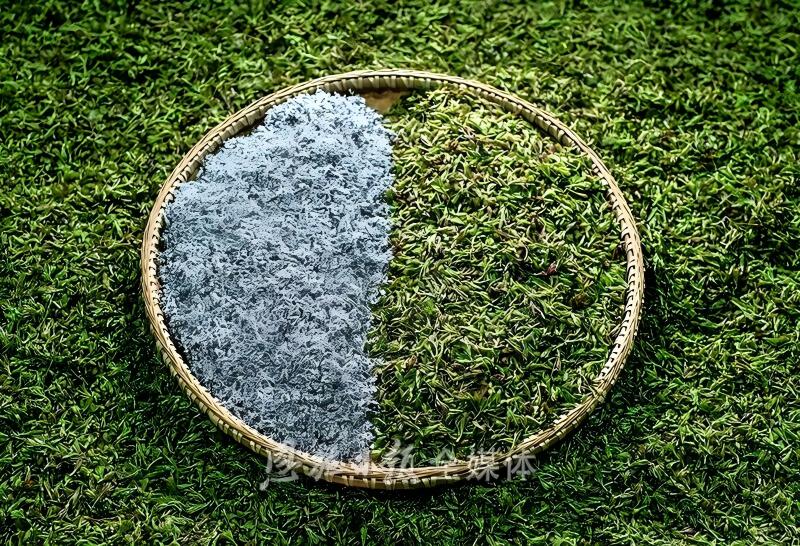 640 (21).jpg