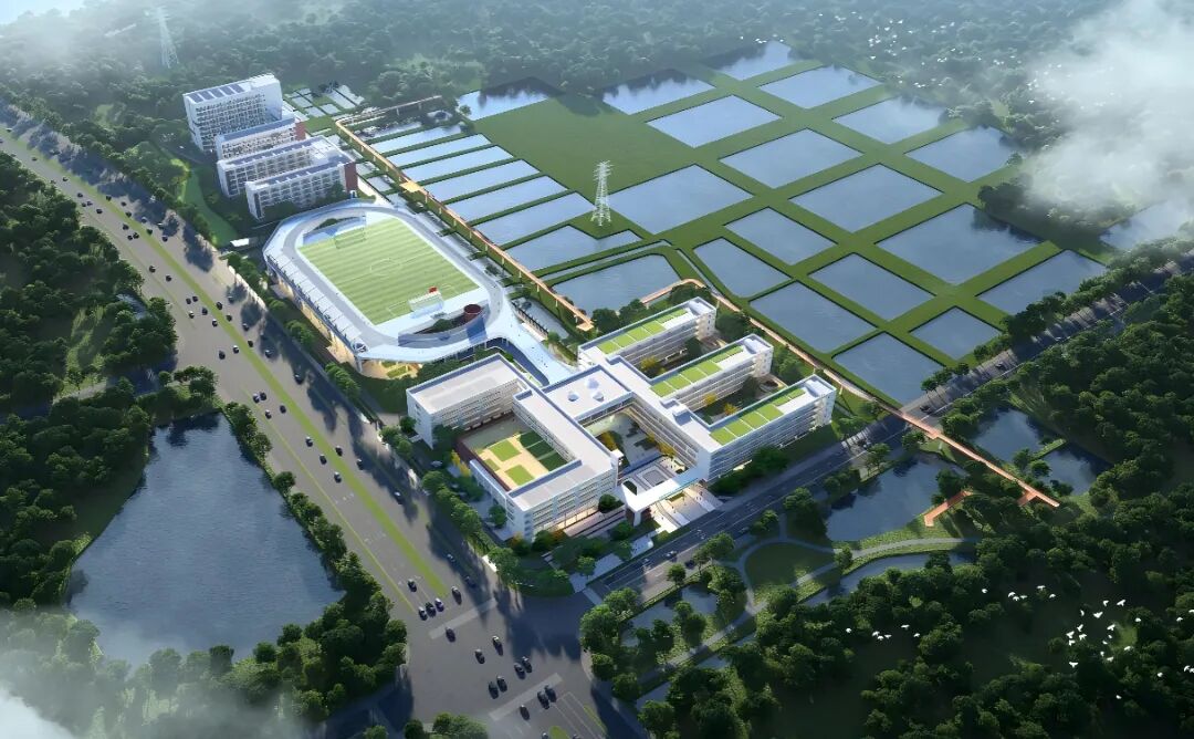 微信图片_2026-09-04_103129_332.jpg