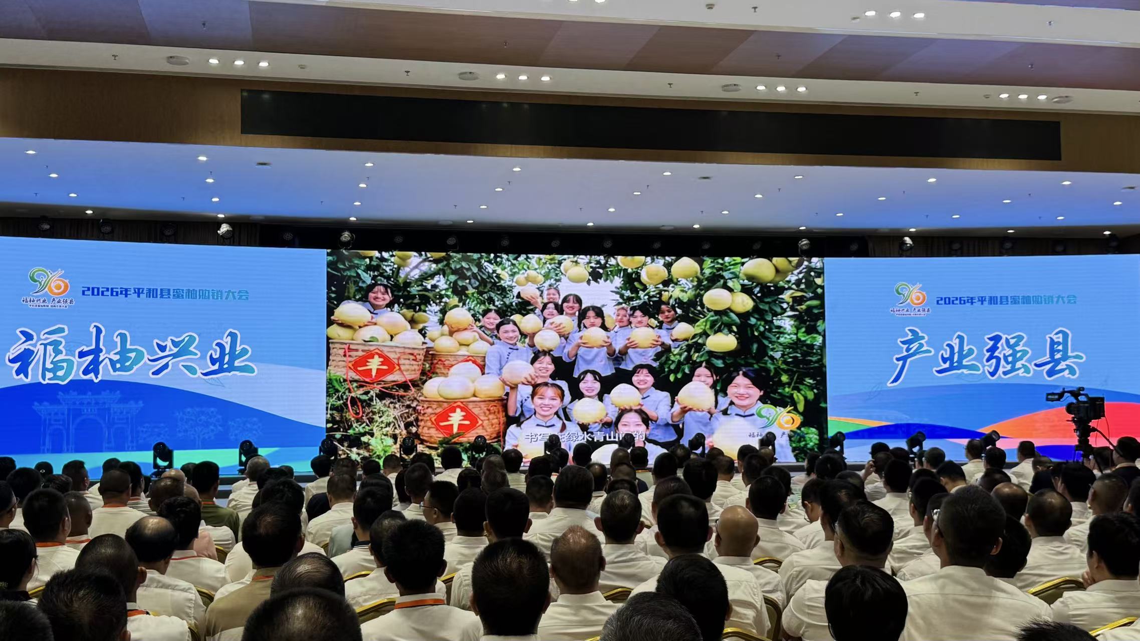 圖三:《柚啟新程》全產業鏈轉型升級紀實片.jpg