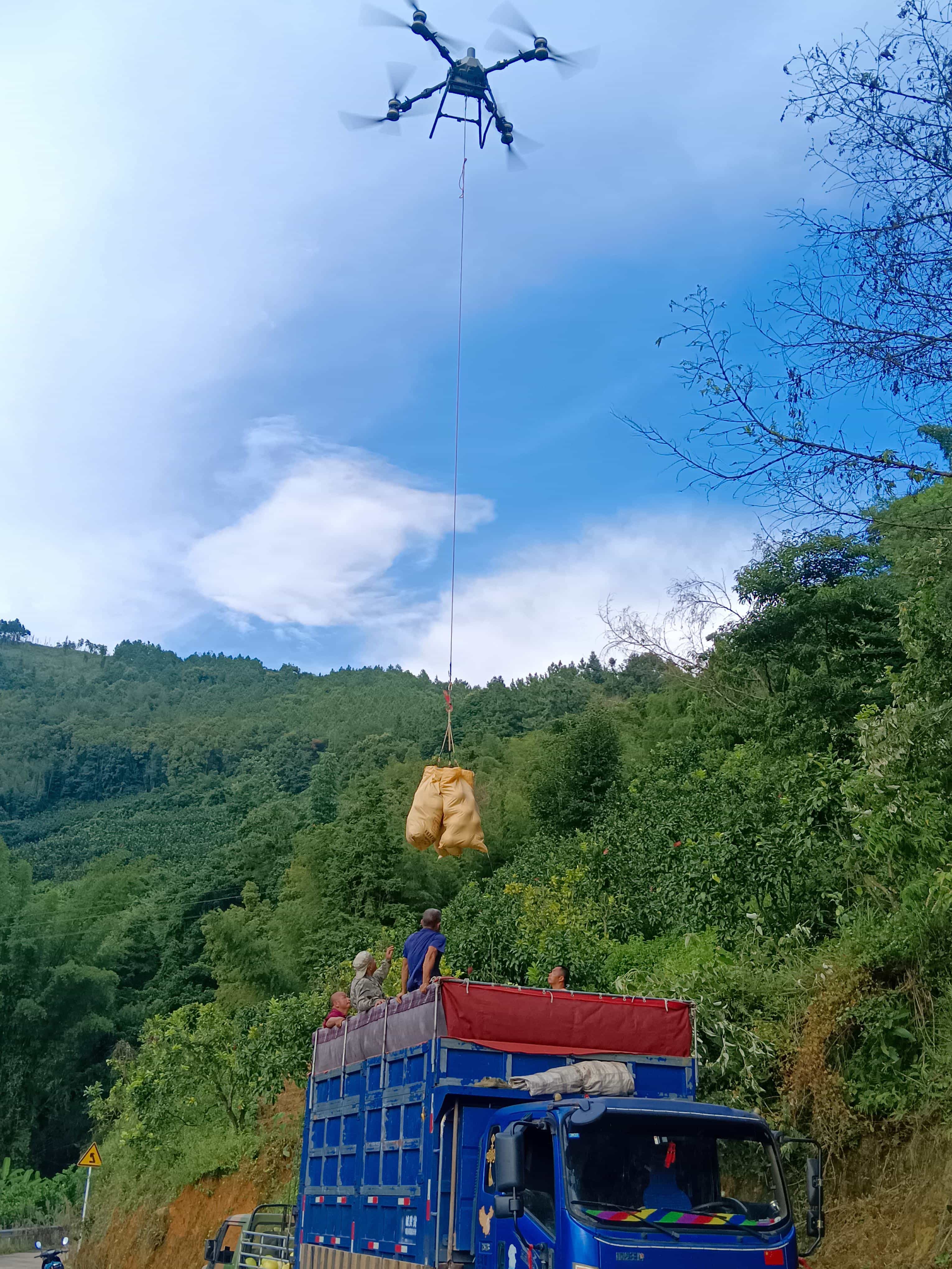 圖六:無人機設備採摘蜜柚.jpg