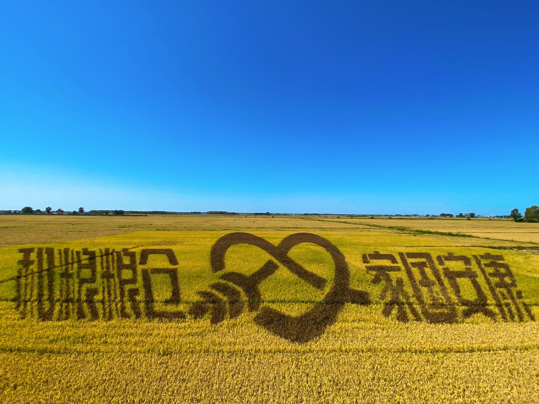图6.jpg