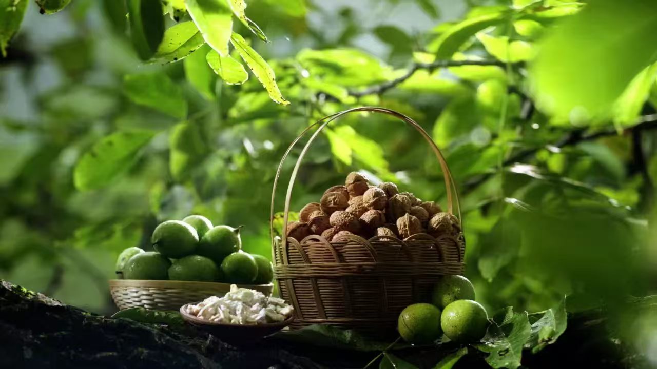 微信图片_20260907193553.jpg