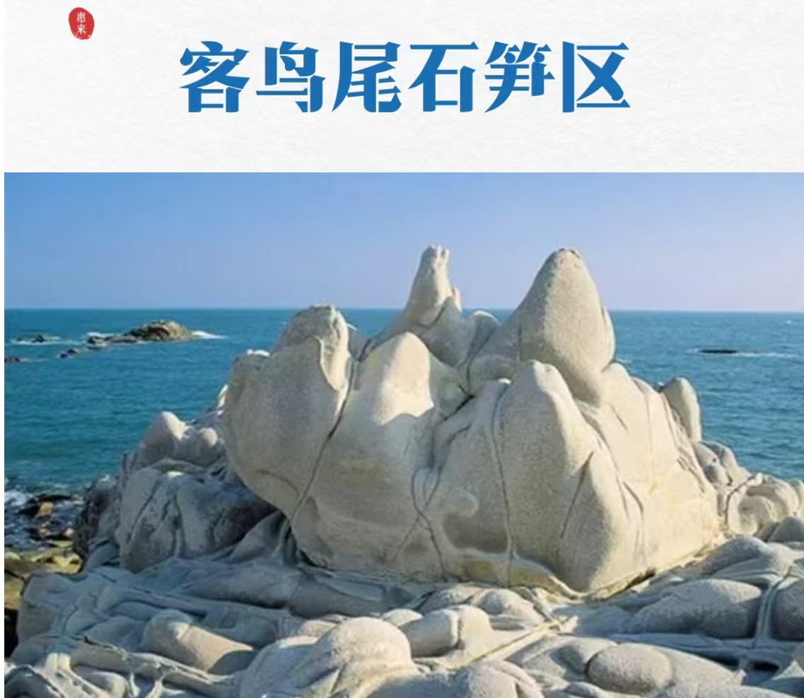 微信图片_20260908103602_2503_95.jpg