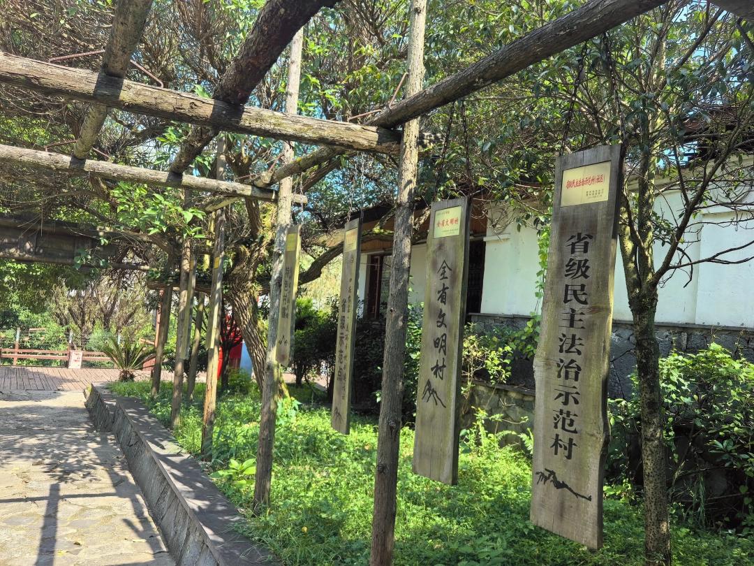 图2：村里取得各项荣誉  顾冰洁 摄.jpg