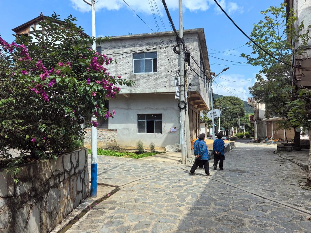 图3：村民悠闲散步 顾冰洁 摄.jpg