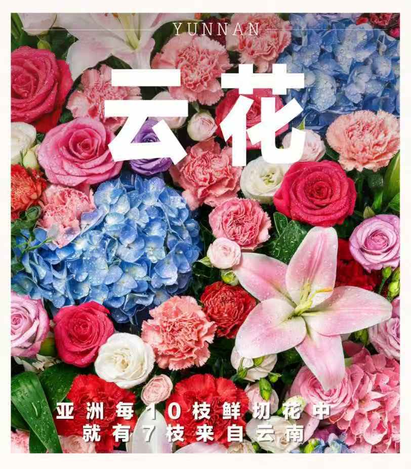 微信图片_20260910214225.jpg