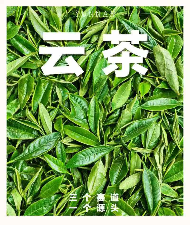 微信图片_20260910214207.jpg