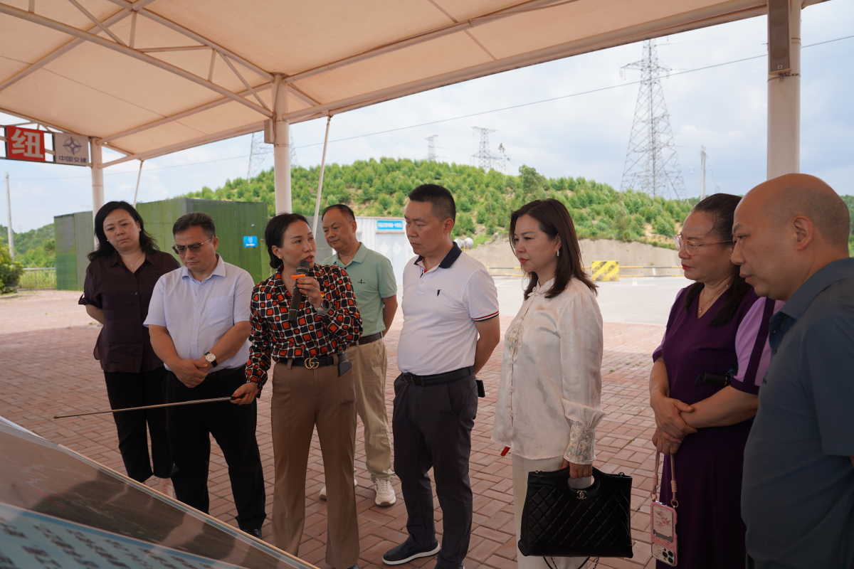 圖2:中戰會組團在廣西考察平陸運河.jpg