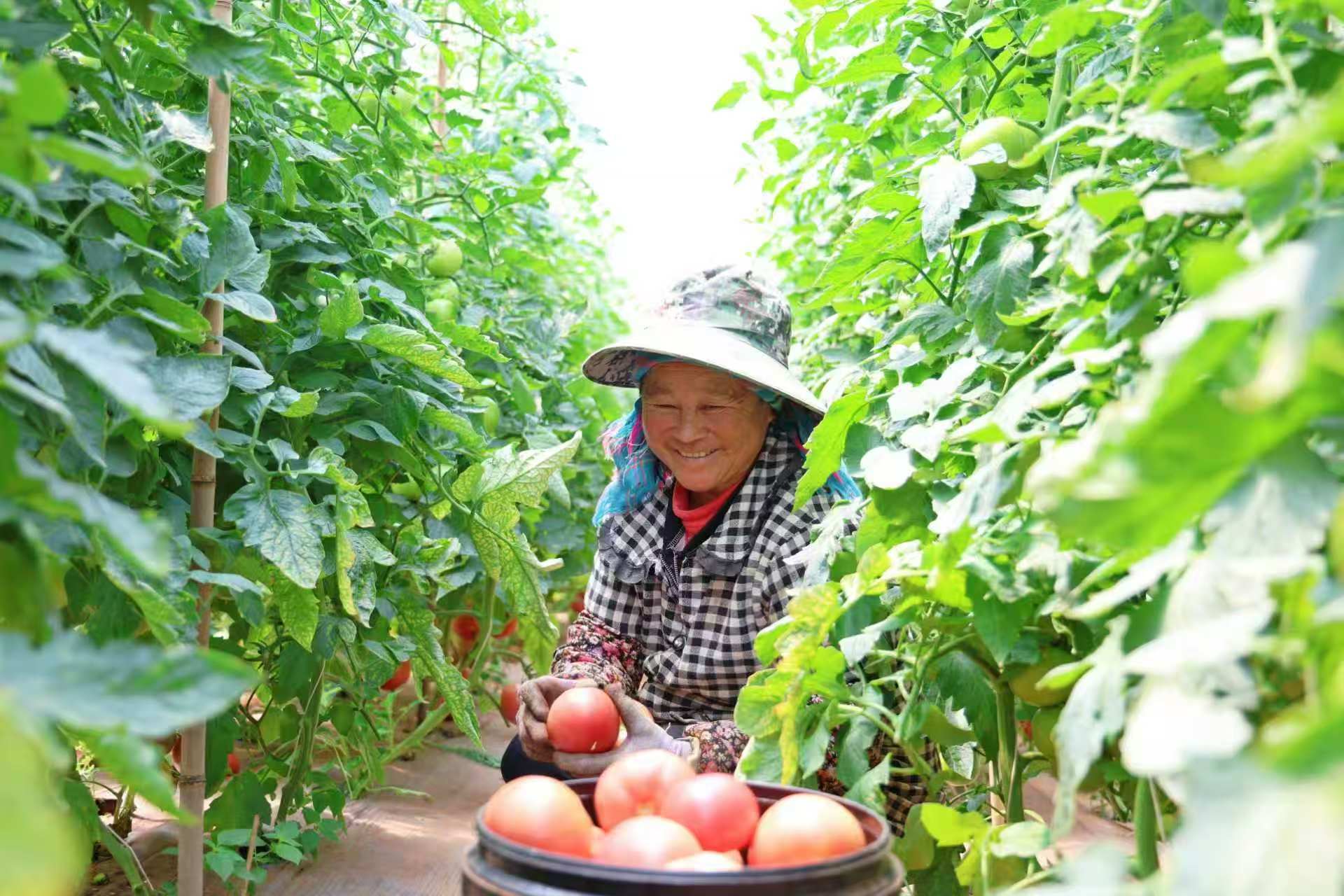 微信图片_20260919034908.jpg