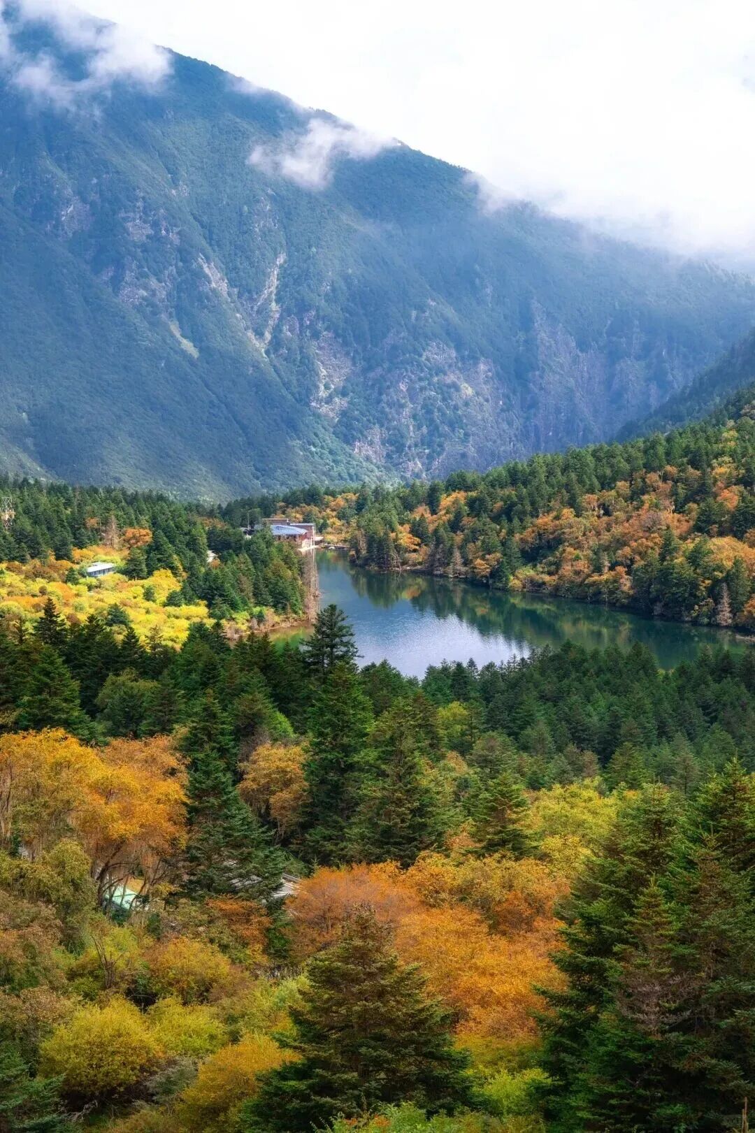 微信图片_2026-09-19_204008_356.jpg