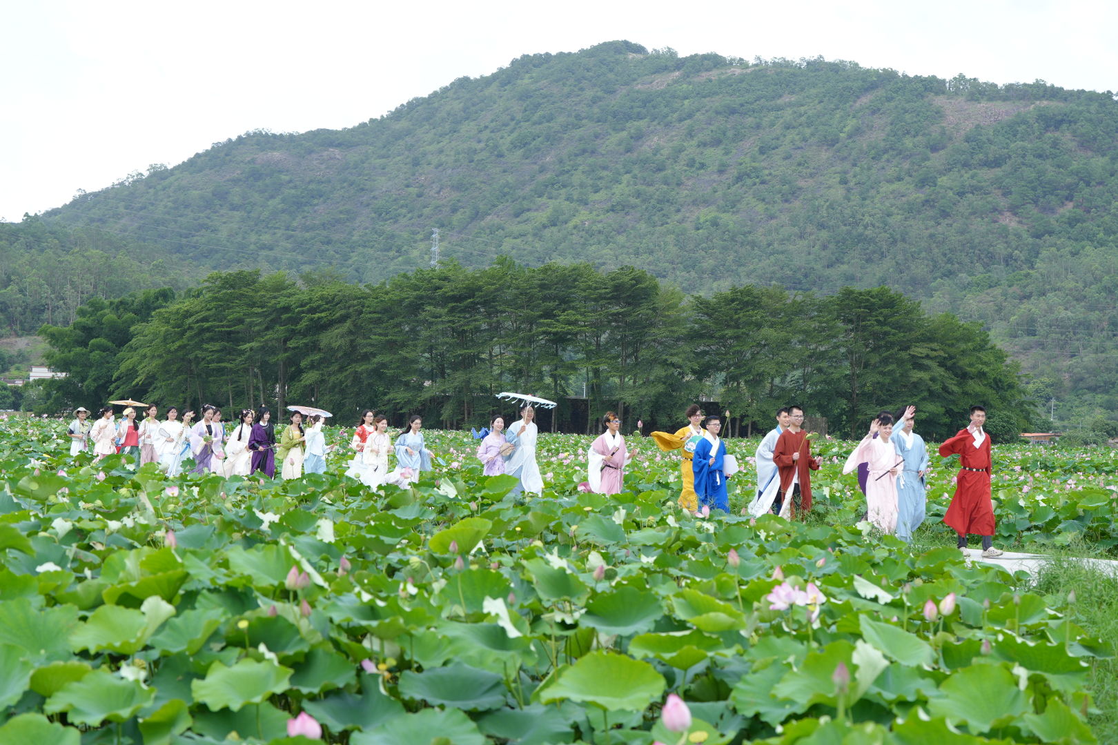荷花活動 (1).jpg