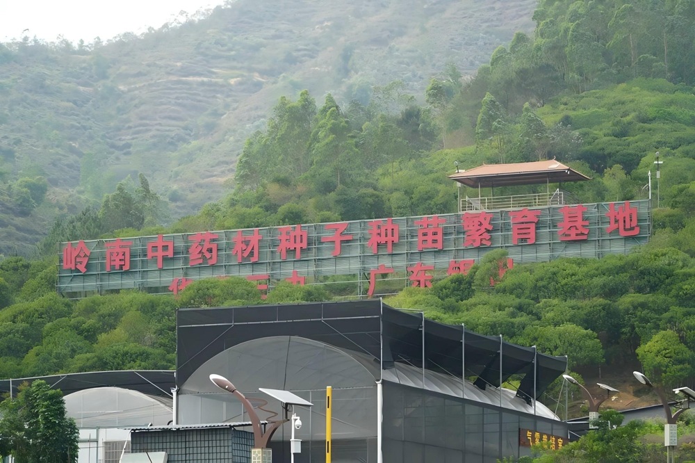 图片1.jpg