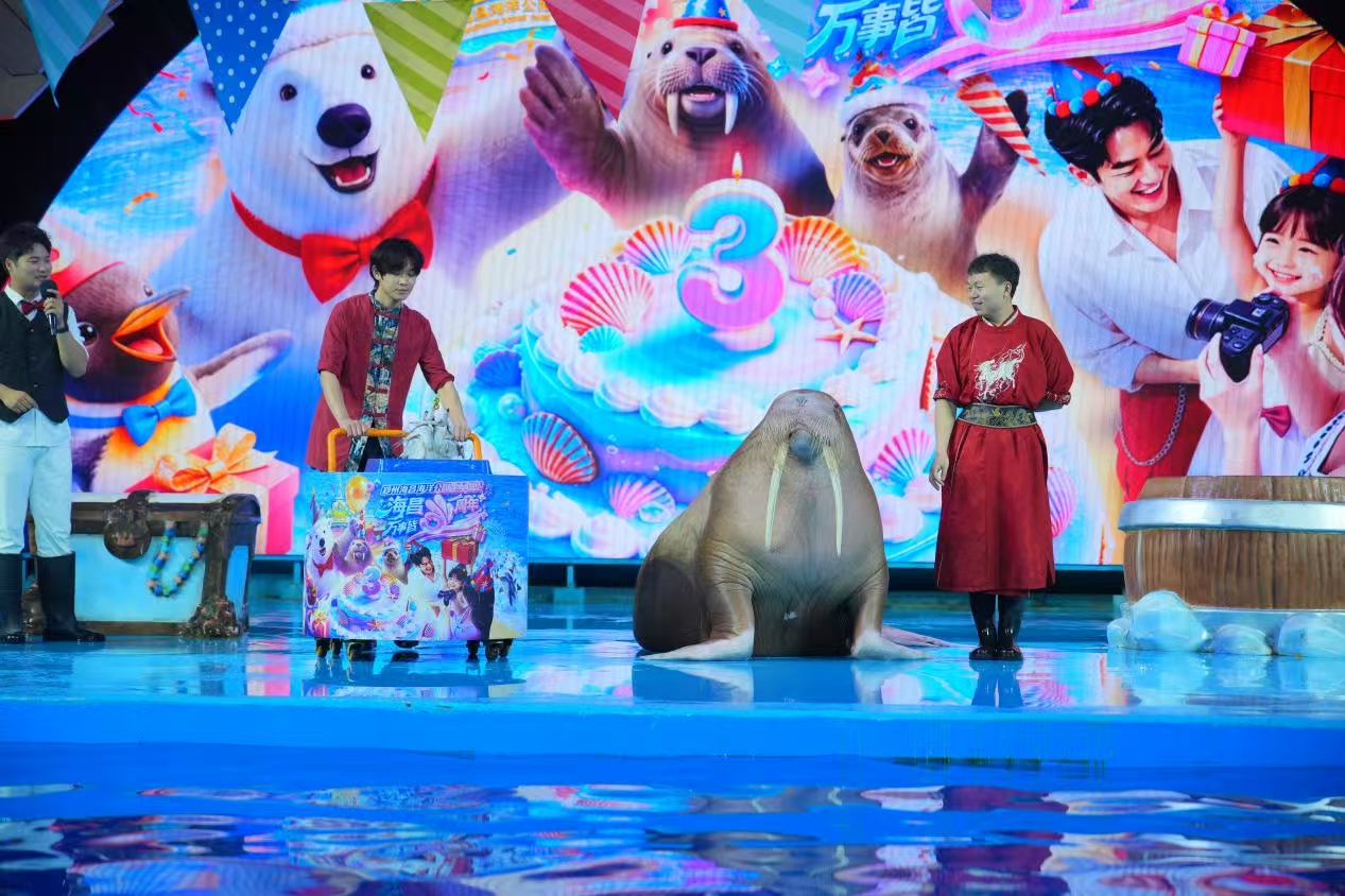 图五.jpg