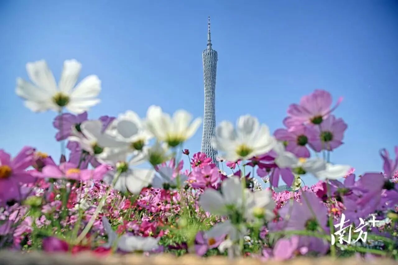 微信图片_2026-09-23_152937_271.jpg