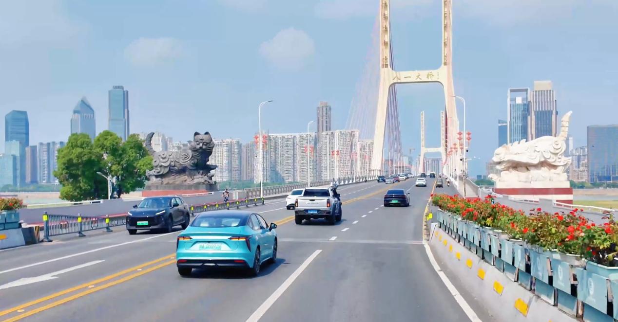 圖2:八一大橋.jpg