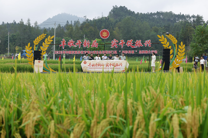 微信圖片_20260923165538_39_715_副本.jpg