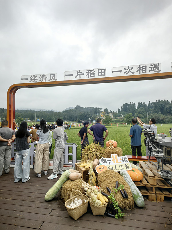 微信圖片_20260923222522_406_54_副本.jpg