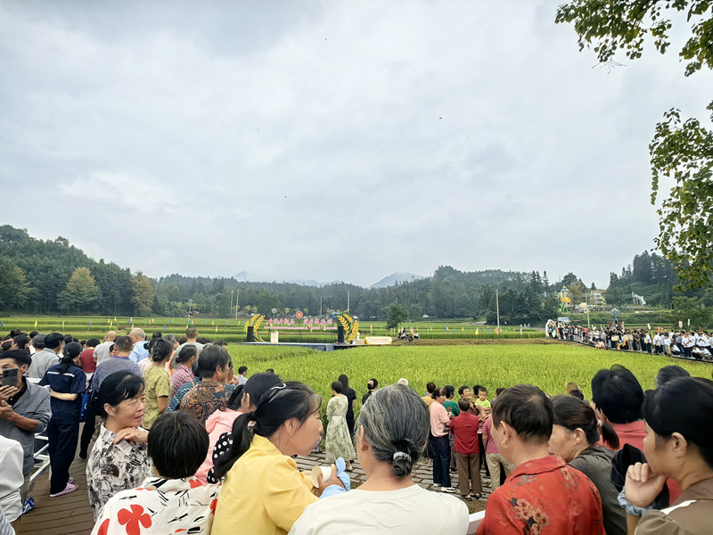 微信圖片_20260923222520_405_54_副本.jpg