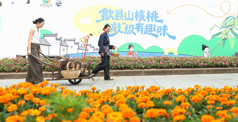 微信圖片_20260929114458_98_287_副本.jpg