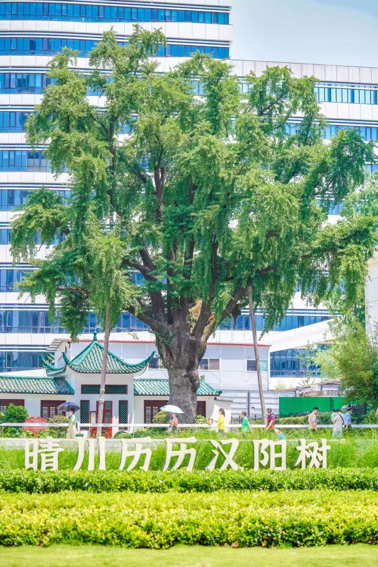漢陽樹公園煥新.jpg