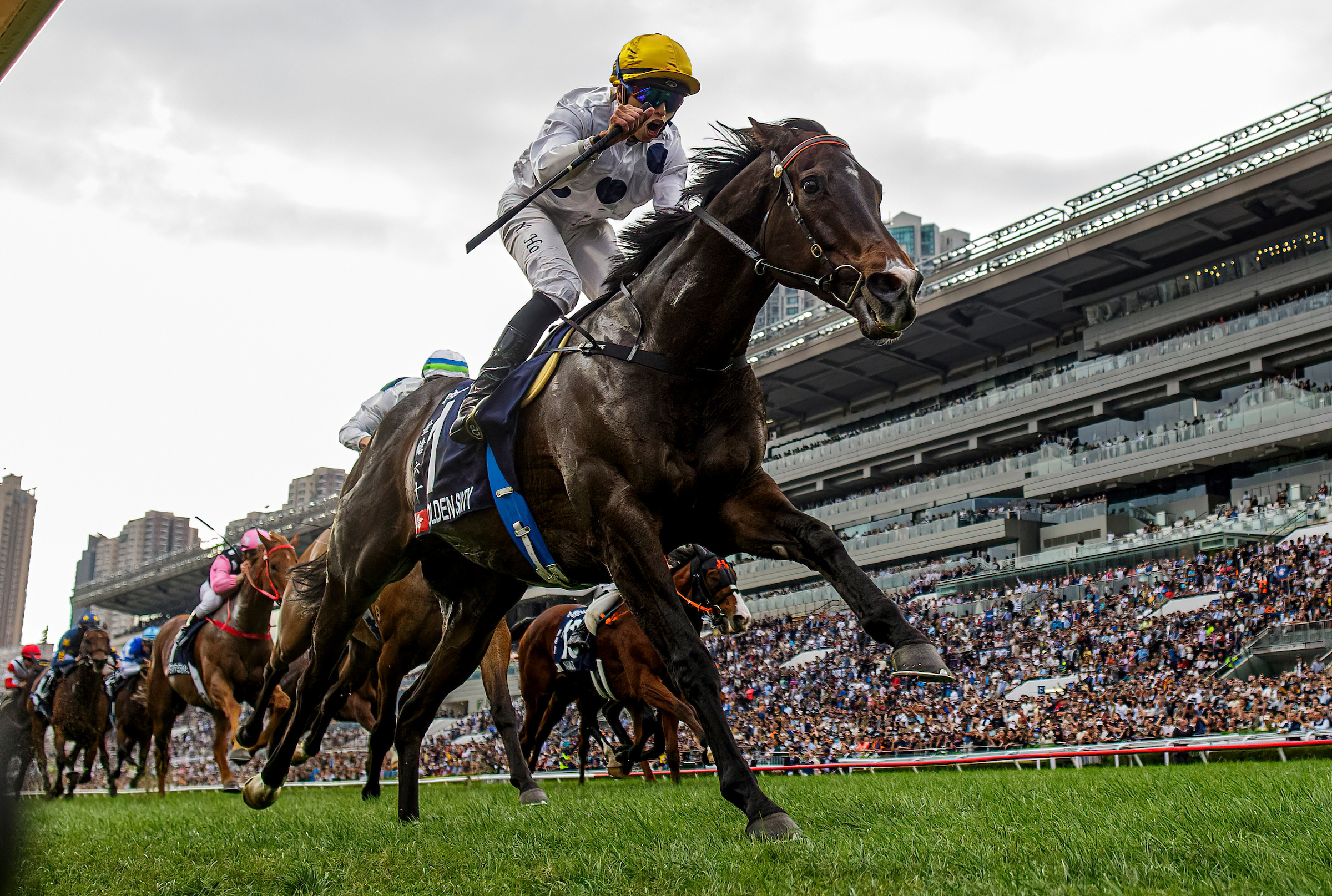 何澤堯與傳奇香港馬王「金鎗六十」合作無間,曾勝出二十六場賽事,當中包括十場一級賽,卓越成就蜚聲國際。.jpeg